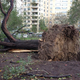 Illustration for article titled This Is What Hurricane Sandy Did To My Neighborhood